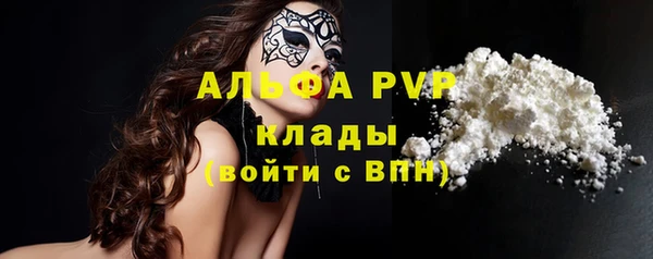 амф Богданович