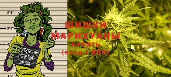 амф Богданович