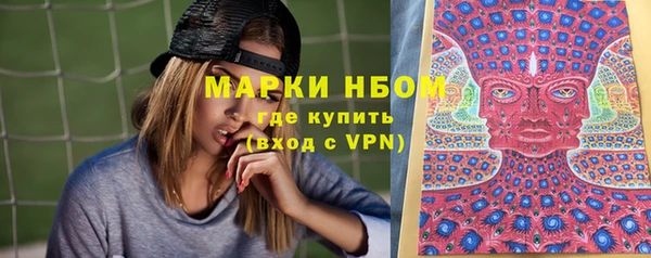 амф Богданович
